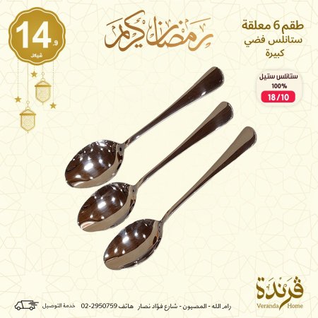 طقم 6 معالق فضي حجم كبير